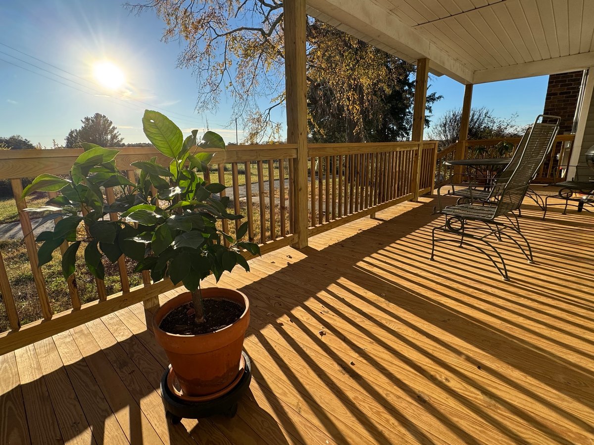 A wooden porch with morning sunlight and greenery — evoking the Southern back porch where this family story begins